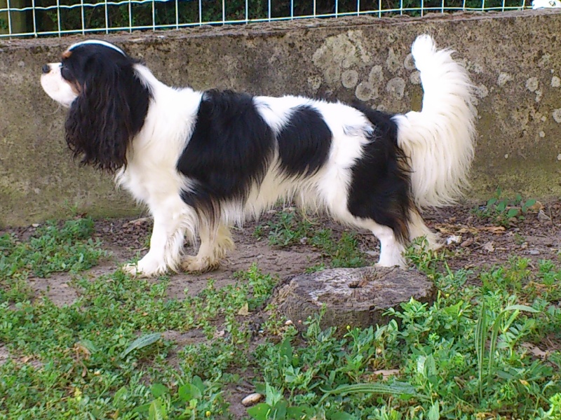 Ghost Du puits des sortileges